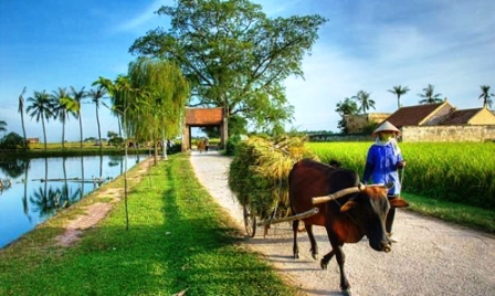 Bellas melodías sobre la agricultura y  el campesinado vietnamita